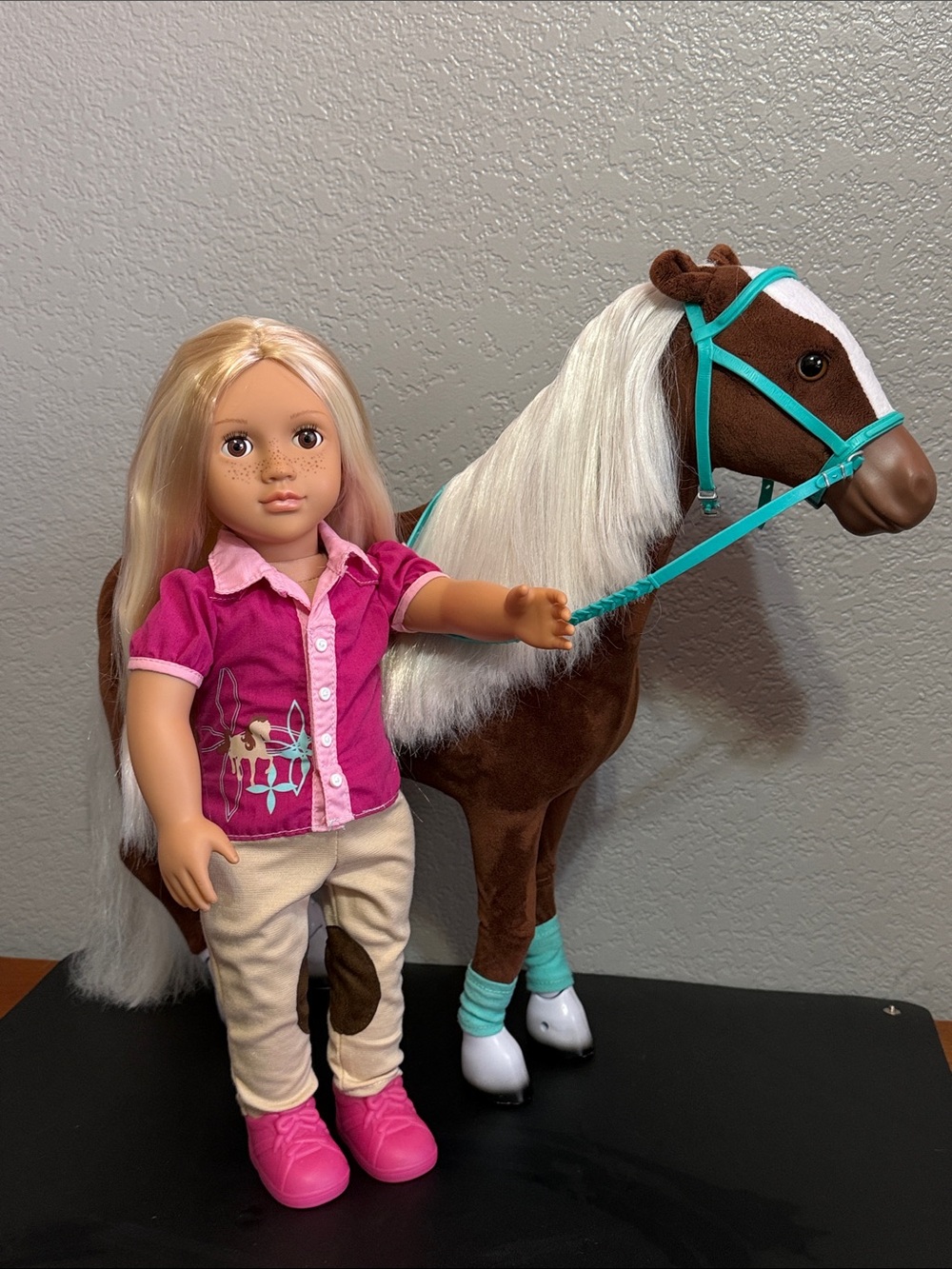 Our Generation 18” Cowgirl Doll with My Life Posable Horse & Bridle